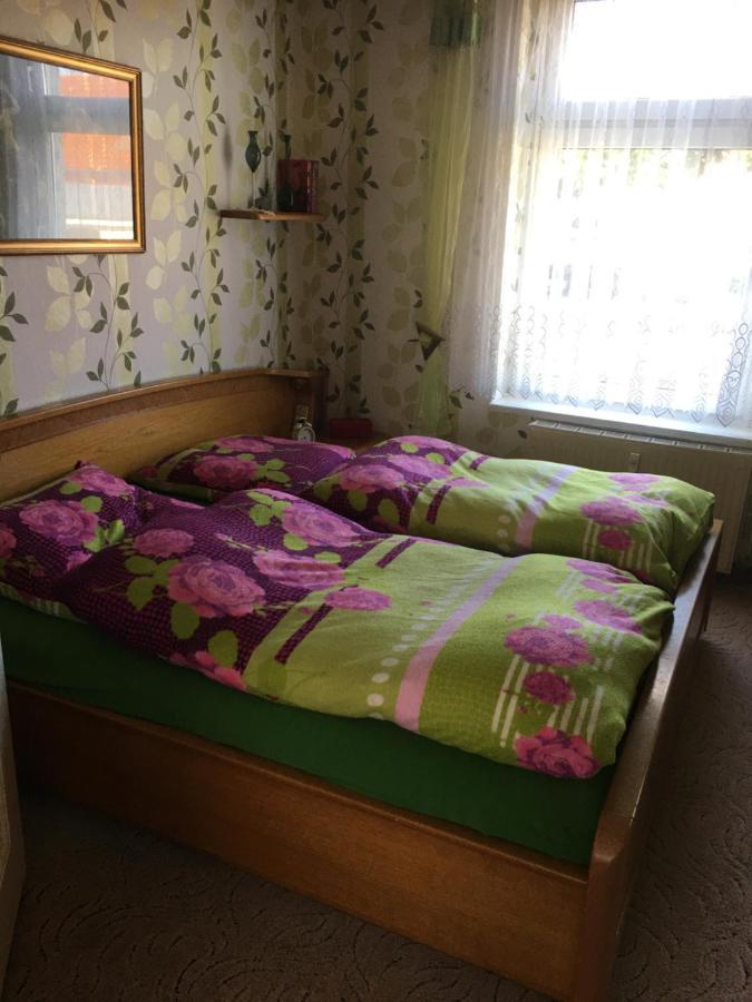 Ferienwohnung Bunte Stadt An Der Elde Grabow  外观 照片